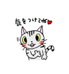 猫のちびすけ★日常会話スタンプ（個別スタンプ：26）