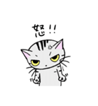猫のちびすけ★日常会話スタンプ（個別スタンプ：27）