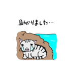 猫のちびすけ★日常会話スタンプ（個別スタンプ：29）