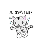 猫のちびすけ★日常会話スタンプ（個別スタンプ：30）