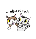 猫のちびすけ★日常会話スタンプ（個別スタンプ：33）