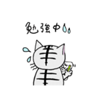 猫のちびすけ★日常会話スタンプ（個別スタンプ：35）