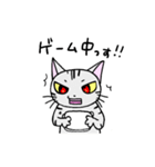 猫のちびすけ★日常会話スタンプ（個別スタンプ：39）