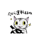 猫のちびすけ★日常会話スタンプ（個別スタンプ：40）