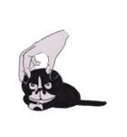 Di-iDi（個別スタンプ：6）