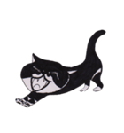 Di-iDi（個別スタンプ：25）