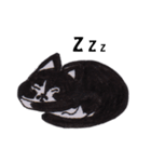 Di-iDi（個別スタンプ：38）