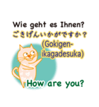 ドイツ語、日本語、英語を話すネコ（個別スタンプ：5）
