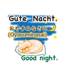 ドイツ語、日本語、英語を話すネコ（個別スタンプ：21）