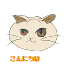 ネコまん(中華まんになったネコ)（個別スタンプ：2）