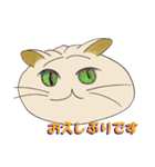 ネコまん(中華まんになったネコ)（個別スタンプ：4）