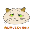 ネコまん(中華まんになったネコ)（個別スタンプ：8）