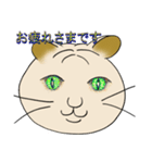 ネコまん(中華まんになったネコ)（個別スタンプ：19）