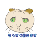 ネコまん(中華まんになったネコ)（個別スタンプ：23）