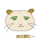 ネコまん(中華まんになったネコ)（個別スタンプ：24）
