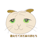 ネコまん(中華まんになったネコ)（個別スタンプ：33）
