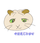 ネコまん(中華まんになったネコ)（個別スタンプ：34）
