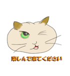 ネコまん(中華まんになったネコ)（個別スタンプ：36）