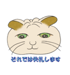 ネコまん(中華まんになったネコ)（個別スタンプ：39）