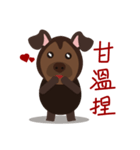 Mr. Dogsang（個別スタンプ：11）