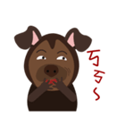 Mr. Dogsang（個別スタンプ：14）
