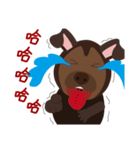 Mr. Dogsang（個別スタンプ：17）
