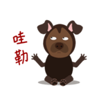 Mr. Dogsang（個別スタンプ：19）