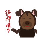 Mr. Dogsang（個別スタンプ：23）