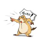 私のプレーリードッグ（個別スタンプ：32）
