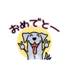 晴れ犬（個別スタンプ：21）