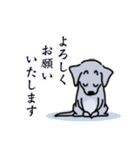 晴れ犬（個別スタンプ：24）