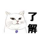 手描き・猫ちゃん（個別スタンプ：1）