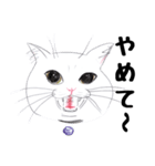 手描き・猫ちゃん（個別スタンプ：2）