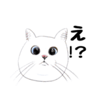手描き・猫ちゃん（個別スタンプ：3）