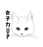 手描き・猫ちゃん（個別スタンプ：6）