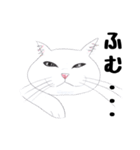 手描き・猫ちゃん（個別スタンプ：8）