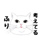 手描き・猫ちゃん（個別スタンプ：9）