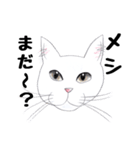手描き・猫ちゃん（個別スタンプ：10）
