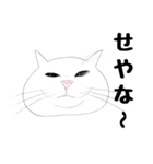 手描き・猫ちゃん（個別スタンプ：11）
