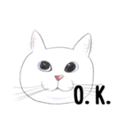 手描き・猫ちゃん（個別スタンプ：13）