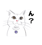 手描き・猫ちゃん（個別スタンプ：14）