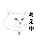 手描き・猫ちゃん（個別スタンプ：17）