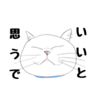 手描き・猫ちゃん（個別スタンプ：19）