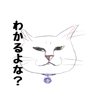 手描き・猫ちゃん（個別スタンプ：21）