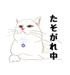 手描き・猫ちゃん（個別スタンプ：22）