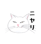 手描き・猫ちゃん（個別スタンプ：23）