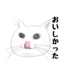 手描き・猫ちゃん（個別スタンプ：25）