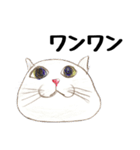 手描き・猫ちゃん（個別スタンプ：26）