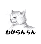 手描き・猫ちゃん（個別スタンプ：27）