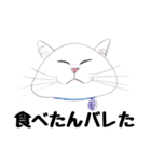 手描き・猫ちゃん（個別スタンプ：28）
